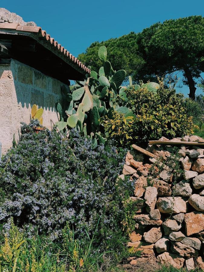 Trullo Contrada Stracca Guest House อัลลิสเต ภายนอก รูปภาพ